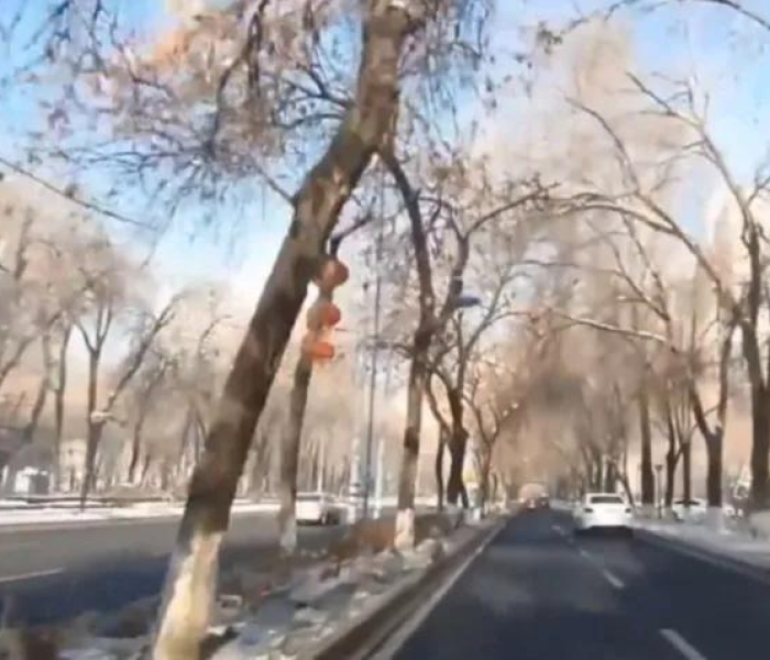 秒懂百科“微乐亲友房怎么开挂”轻松获取房卡全渠道