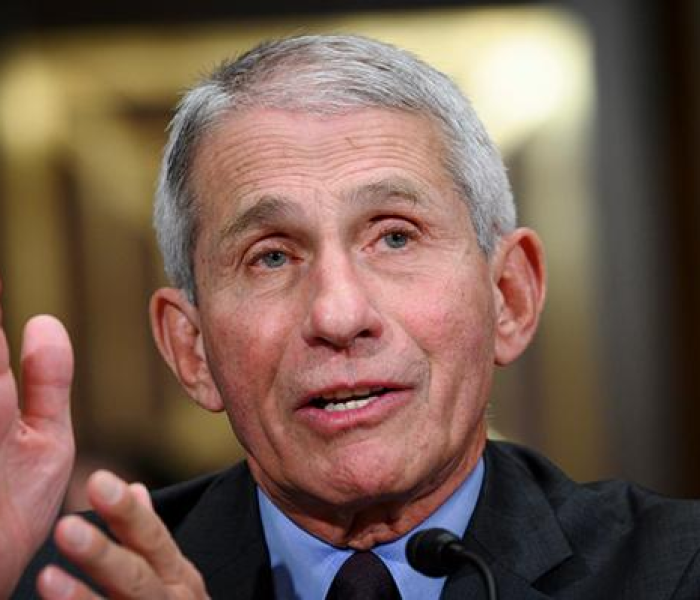 房卡全攻略“随意玩炸 金花链接房卡哪里有”详细房卡怎么购买教程