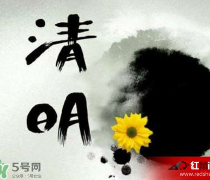 福建泉州疫情最新通报，新增本土确诊病例溯源进展与防控措施升级