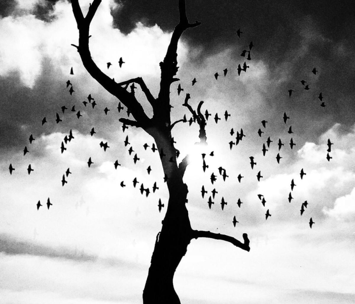 新疆一地新增4例无症状病例/新疆一地新增4例无症状病例