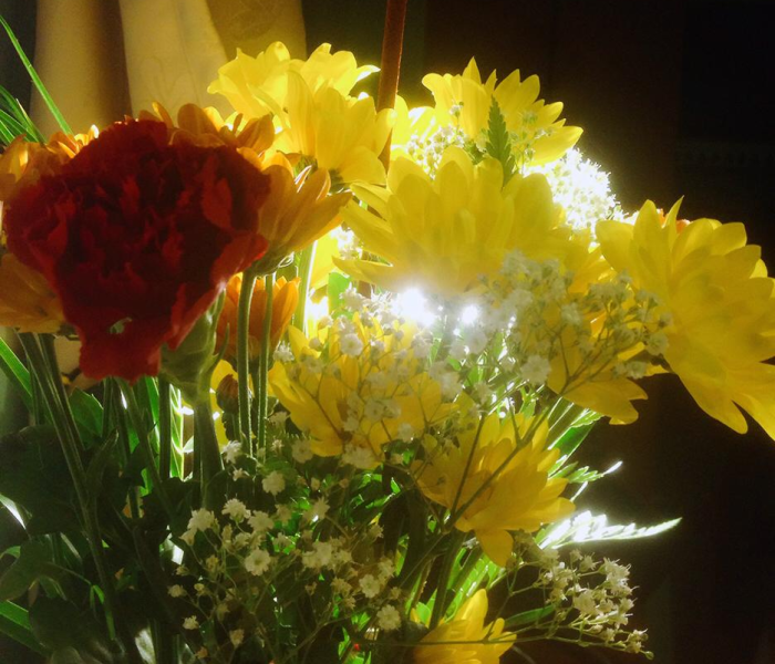 全攻略普及“新皇豪牛牛金花房卡”详细房卡使用教程