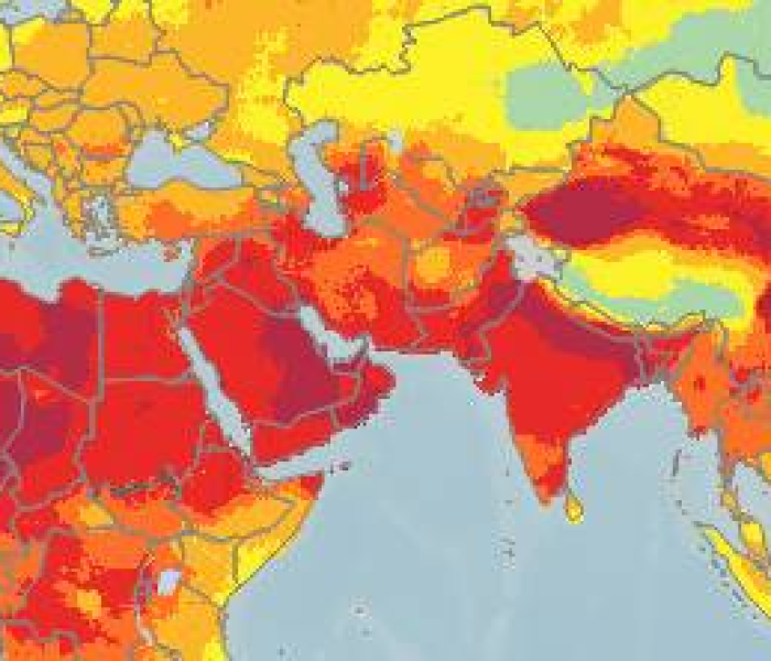 全世界死亡率最高的地方在哪里是什么生肖/全世界死亡率最高的地方在哪里是什么生肖的动物