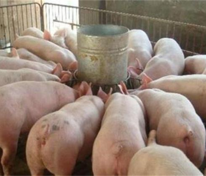 今年六月疫情能结束了吗?今年六月疫情能结束了吗知乎