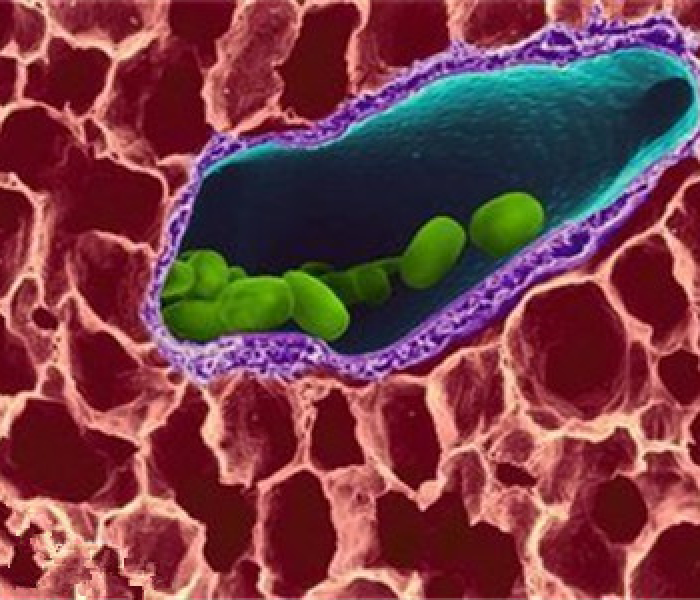 新劲炫asx全新报价/新劲炫ASX
