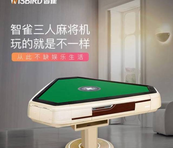 大丰麻将机是品牌吗怎么样/大丰麻将机是品牌吗