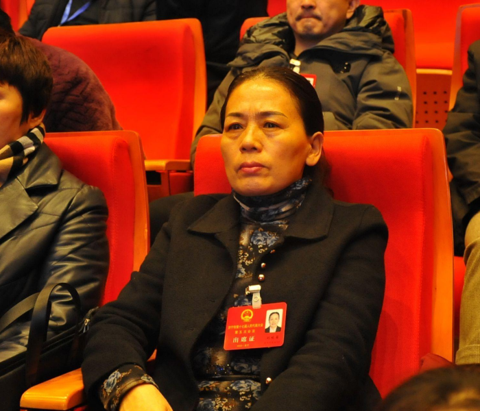 高速恢复收费2020最新消息，政策调整背后的经济逻辑与民生考量