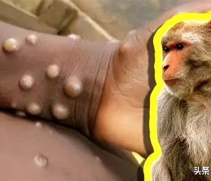 一分钟实测分享“牛牛链接房卡找谁购买”房卡链接获取 一分钟实测分享“牛牛链接房卡找谁购买”房卡链接获取