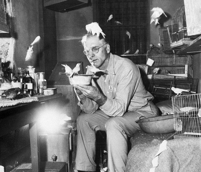 秒懂百科“天鹰座大厅链接房卡充值”获取房卡教程-哔哩哔哩 秒懂百科“天鹰座大厅链接房卡充值”获取房卡教程-哔哩哔哩