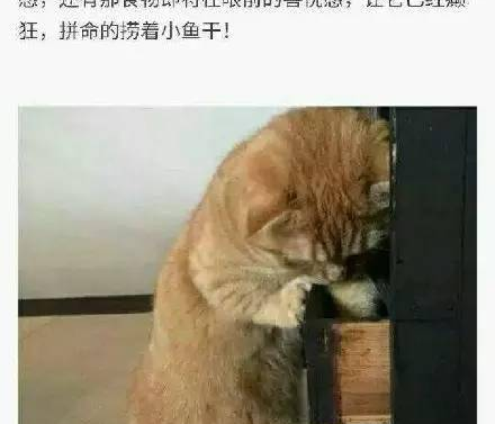 秒懂教程“微信链接大厅牛牛怎么挂”获取房卡教程-哔哩哔哩