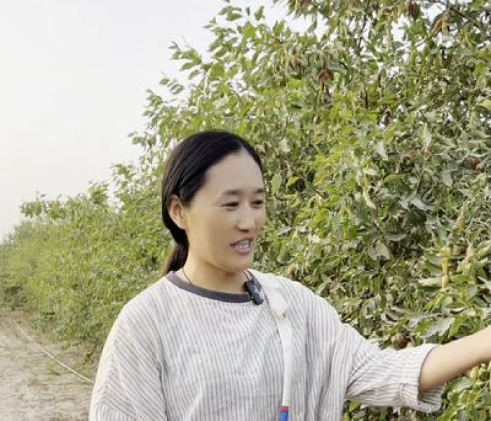 【苗卫芳枣花/苗卫芳现状】