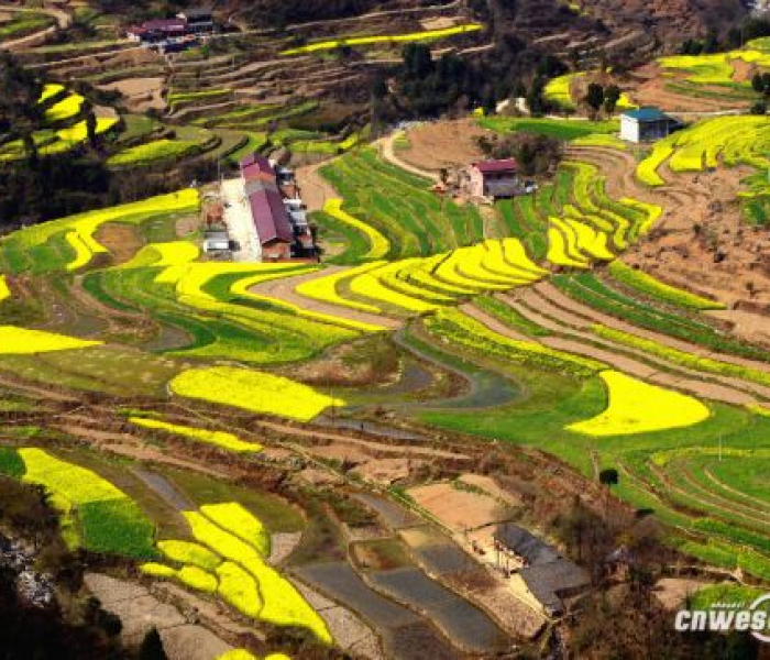 给大家讲解“金花牛牛房卡出售”获取房卡教程-哔哩哔哩