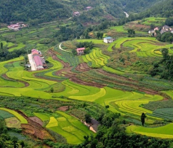 今日汉中宁强新闻,宁强县生态旅游与乡村振兴融合发展,打造秦巴山区新名片 今日汉中宁强新闻,宁强县生态旅游与乡村振兴融合发展,打造秦巴山区新名片