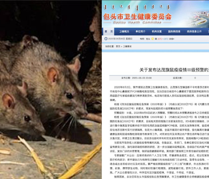 一分钟了解“微信牛牛链接版 有房卡”详细房卡怎么购买教程 一分钟了解“微信牛牛链接版 有房卡”详细房卡怎么购买教程