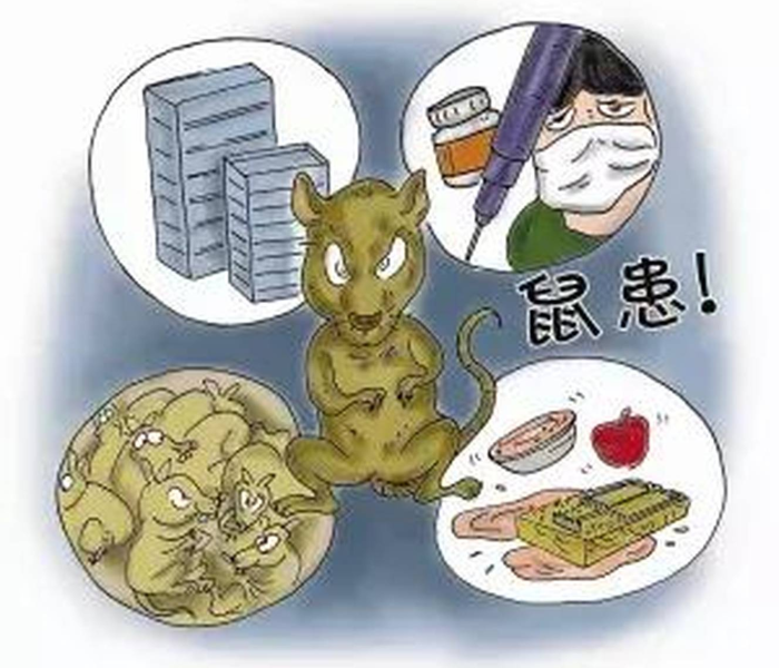 房卡必备教程“微信牛牛炸 金花房卡”获取房卡教程-哔哩哔哩