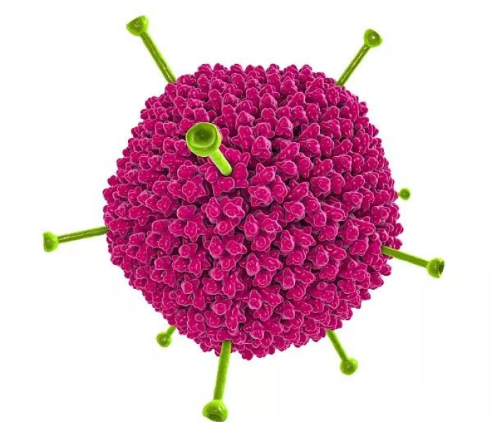 房卡必备教程“微信炸 金花房卡链接有挂吗”获取房卡教程-哔哩哔哩