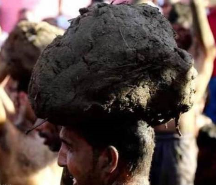 印度 疫情 牛粪/印度疫情牛粪泡澡