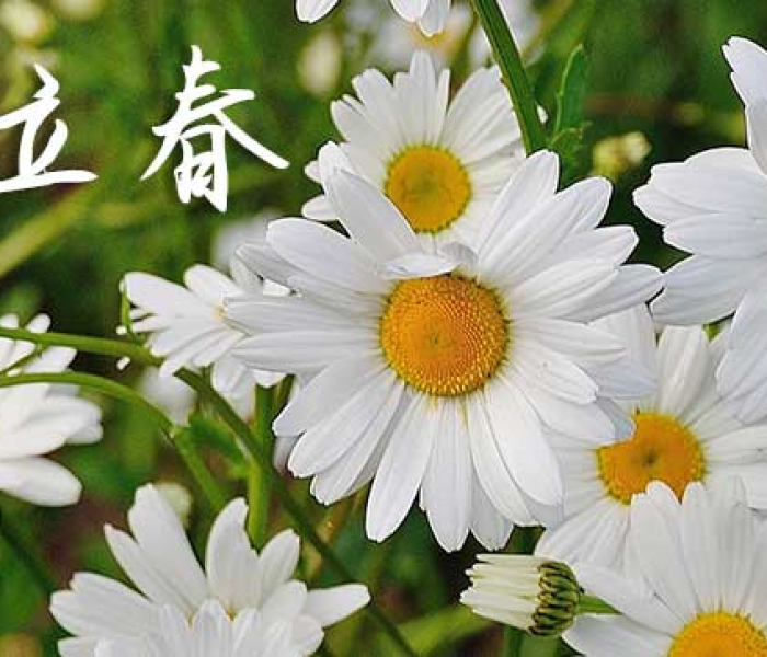 潮州疫情死亡病例/潮州疫情死亡病例最新消息 潮州疫情死亡病例/潮州疫情死亡病例最新消息