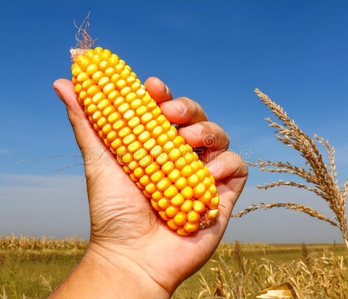 一分钟介绍使用“微信上怎么斗牛”房卡链接获取