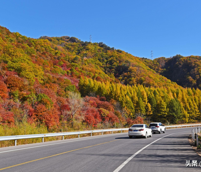 秒懂百科“牛魔王房卡哪里买”房卡获取方式 秒懂百科“牛魔王房卡哪里买”房卡获取方式