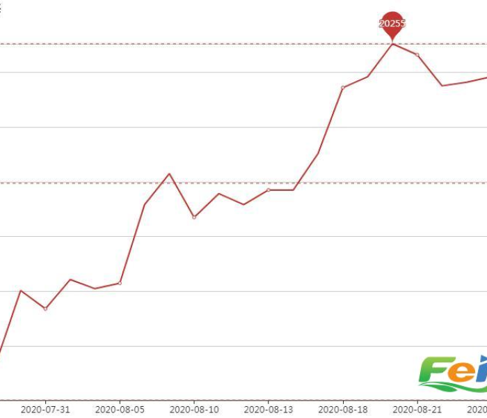一分钟介绍使用“新猴王牛牛房卡”详细房卡教程