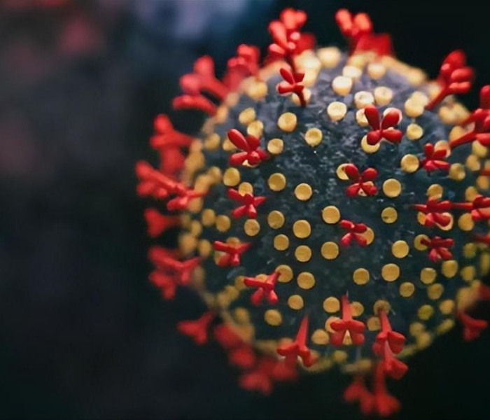 给大家讲解“生肖羊大厅链接房卡充值”详细房卡使用教程 给大家讲解“生肖羊大厅链接房卡充值”详细房卡使用教程