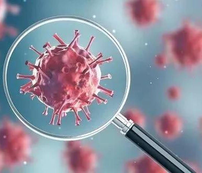 房卡必备教程“金华房卡在哪买”房卡链接获取 房卡必备教程“金华房卡在哪买”房卡链接获取