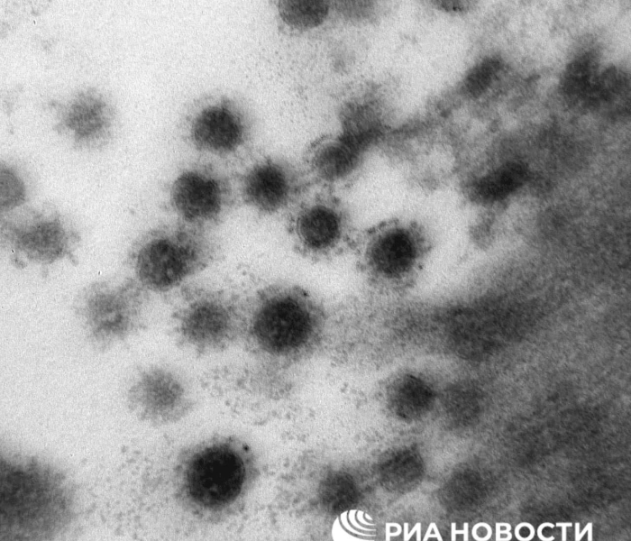 河北石家庄深泽县有新冠吗现在/河北石家庄深泽县有新冠吗