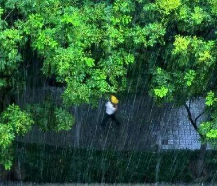 全国最新疫情今天新增病例:最新|全国疫情新增