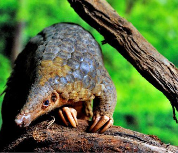 广西北海疫情态势趋稳，常态化防控与经济发展寻求新平衡