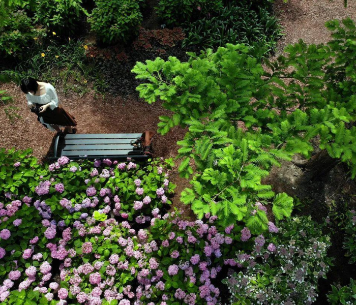 上海39人出租房，城市夹缝中的生存密码与人性拷问