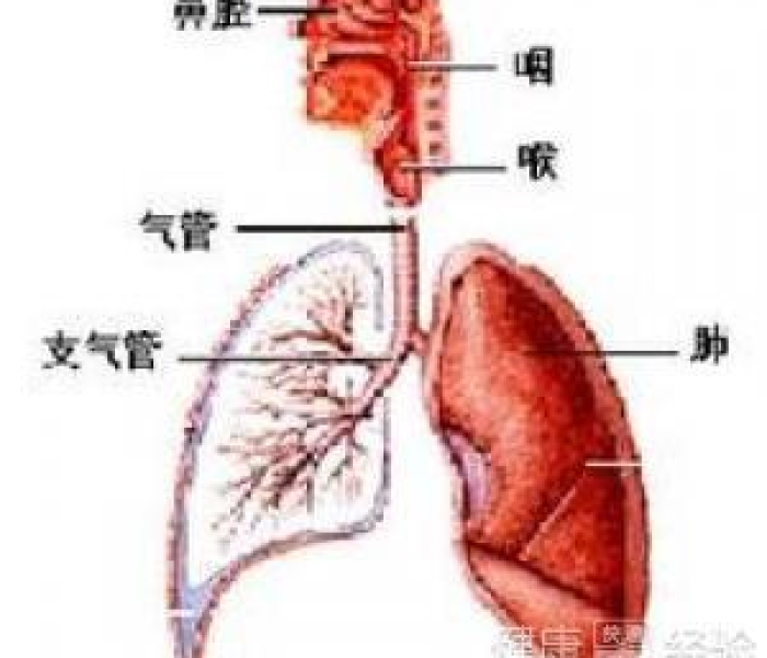 秒懂百科“哪里有卖微信炸 金花房卡”轻松获取房卡全渠道 秒懂百科“哪里有卖微信炸 金花房卡”轻松获取房卡全渠道