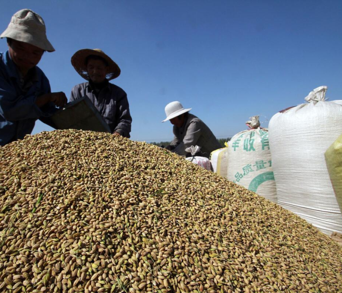 2021年4月9黄历（2021年4月9老黄历）