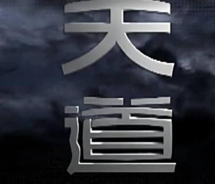 天道软件仓/天道软件