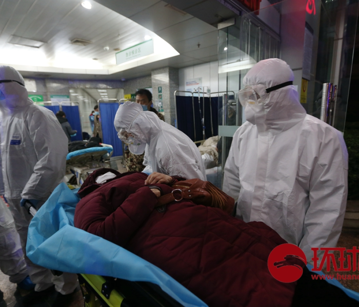 全攻略普及“新大圣牛牛金花房卡”获取房卡教程-哔哩哔哩