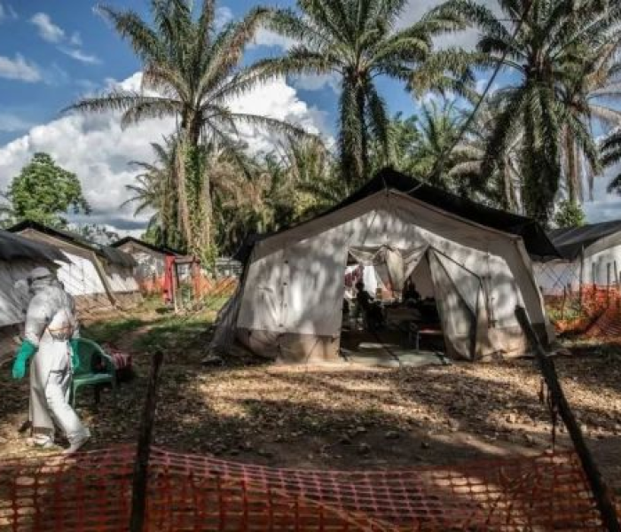 【盈江县防疫指挥部关于核酸检测的通知,盈江县防疫指挥部关于核酸检测的通知文件】