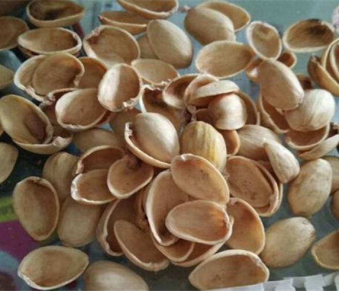 扇贝壳属于湿垃圾还是干垃圾呢/扇贝壳属于湿垃圾还是干垃圾 扇贝壳属于湿垃圾还是干垃圾呢/扇贝壳属于湿垃圾还是干垃圾