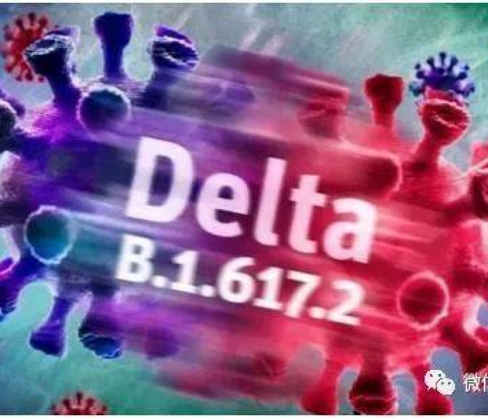 房卡必备教程“微信金花房卡”获取房卡教程-哔哩哔哩