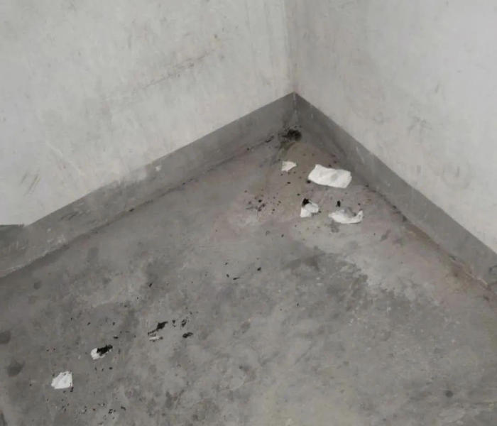 一分钟了解“微信在哪开炸 金花房间”详细房卡使用教程