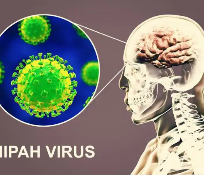 【尼帕病毒中国有没有/尼帕病毒有没有细胞结构】