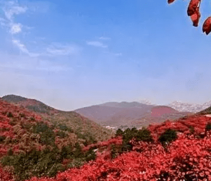 邢台市信都区，太行山麓的千年古韵与现代新姿