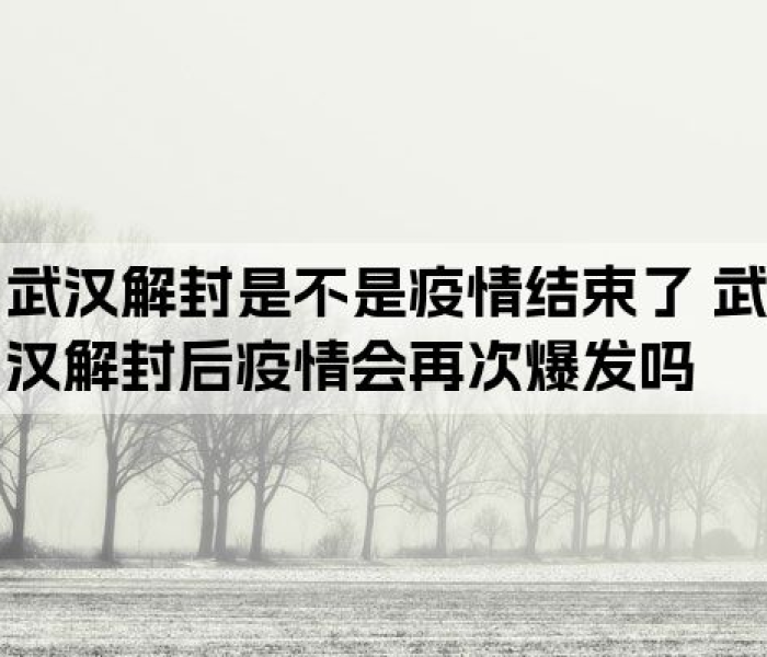 武汉大概什么时候解封:武汉什么时候解封的