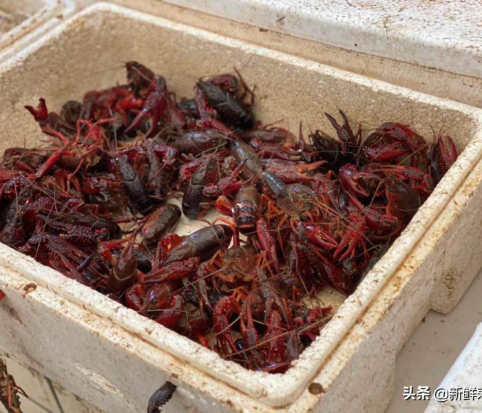 秒懂百科“微信链接牛牛房卡怎么购买”房卡获取方式 秒懂百科“微信链接牛牛房卡怎么购买”房卡获取方式