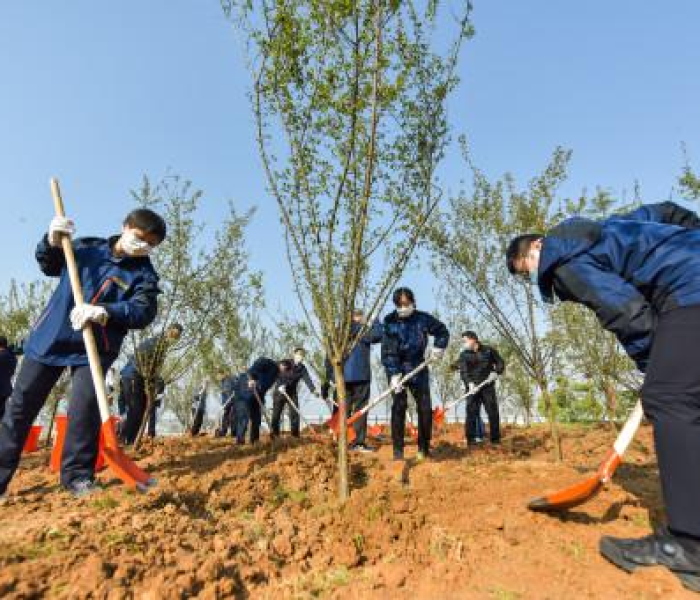 全攻略普及“微信牛牛买房卡”获取房卡教程-哔哩哔哩