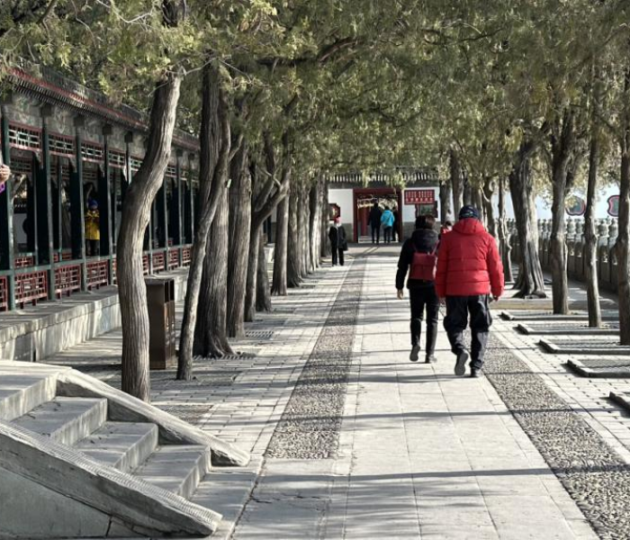 北京健康宝天天核验/健康宝每天都要核验