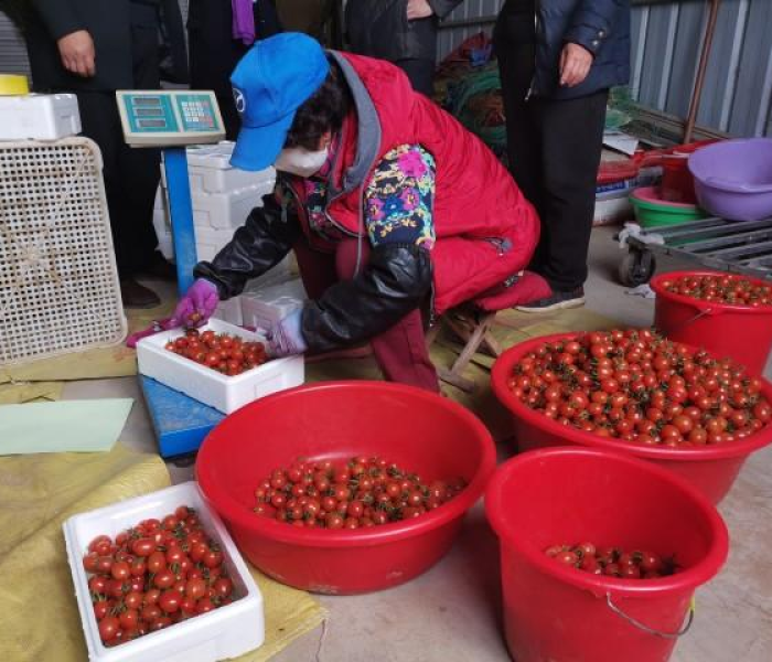 一分钟介绍使用“微信拼三张金花房卡”房卡详细充值