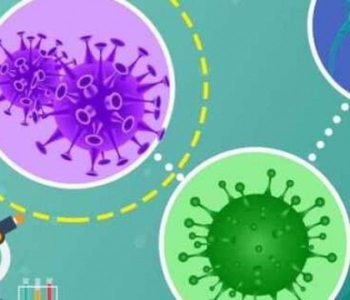 新冠新毒株叫什么/新冠新毒株名称