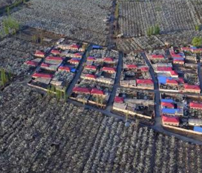 房卡必备教程“微信牛牛金花房卡链接”获取房卡教程-哔哩哔哩 房卡必备教程“微信牛牛金花房卡链接”获取房卡教程-哔哩哔哩