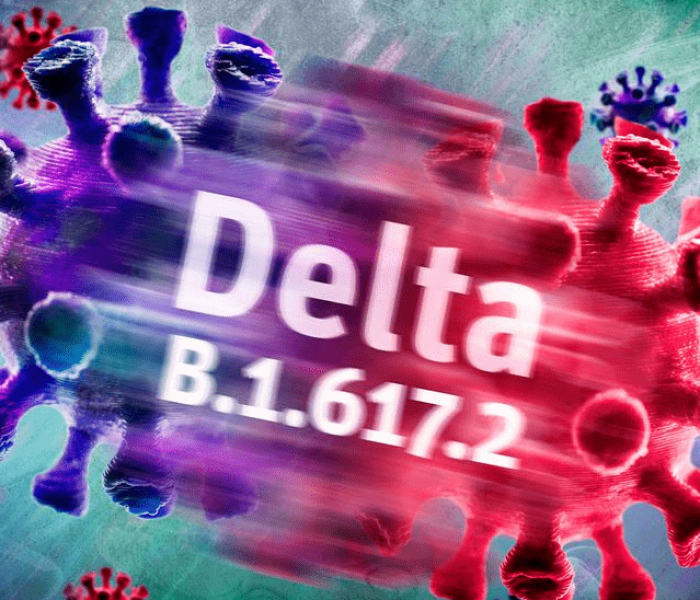 房卡全攻略“微信斗牛平台链接房卡”详细房卡怎么购买教程