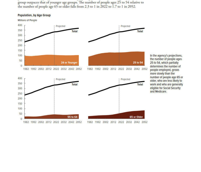 2025年美国人口全景解析，数据背后的社会变迁与未来挑战
