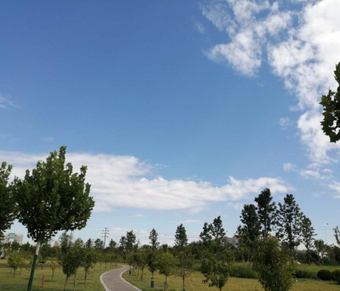 周五限行车号是几（周五限行车号是几位数的）